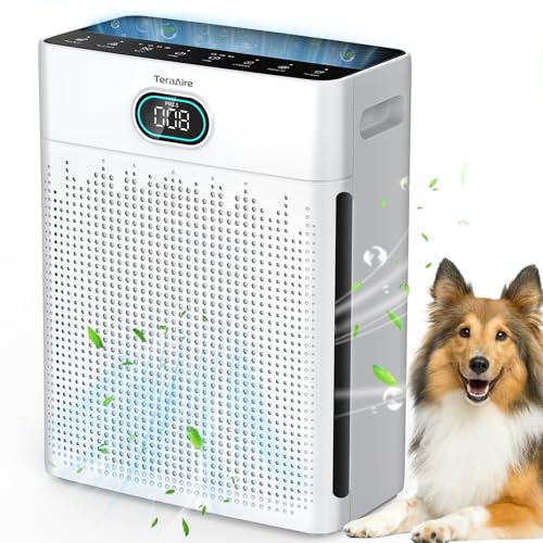 Air Purifiers for Home, PM 2.5 Air Quality Monitor Cover Up to 2200 Ft² with Pet mode, Timer, H13 HEPA Air Purifier with Washable Pre-filter, Fragrance Sponge for Smoke, Odor, Dander(Black) - color: BLACK