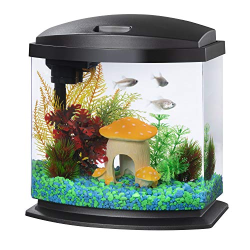 Aqueon LED MiniBow Small Aquarium Fish Tank Kit with SmartClean Technology, Black, 2.5 Gallon - color: Black, size: 2.5 Gallon