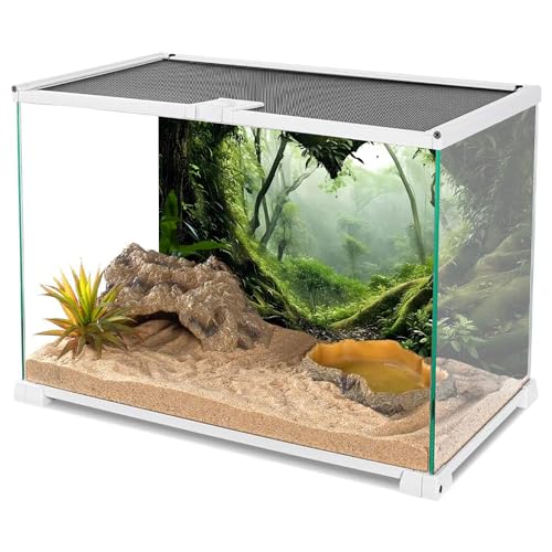 AWERT 30x18 inches Polyester Tropical Rainforest Terrarium Background Stream Green Huge Tree Reptile Habitat Background Foggy Rainforest Aquarium Background - size: 30x18in/75x45cm