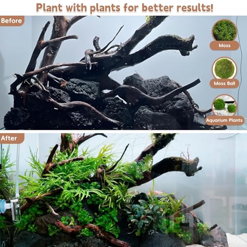 PINVNBY Natural Driftwood for Aquarium Decor Fish Tank Decorations Reptile Decor Driftwood Decor, 3 Pieces 7"-11" Assorted Driftwood Branch - size: L: Mopani Driftwood (7-13 inches/3 Pack）