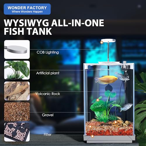 Nano Desktop Betta Aquarium 2.7 Gallon Glass Fish Tank Set, Hidden Bottom Filtration System Self Cleaning Filter Light Gravel Plant Cleaning Tool, for Small Space Easy Setup Space-Saving Design - size: 2.7 gallon