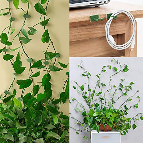 LUCKJUJU 100 Pcs Plant Climbing Wall Fixture Clips Self-Adhesive Hook Vines Traction Clips Invisible Holder Garden Green Leaf Simulation Self-Adhesive Hook Wire Fixing Supporting - color: 50Pcs+50Pcs