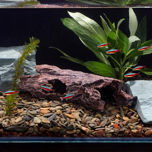 IBWell Aquarium Caves Decor Fish House for Betta Tree Log Hideout Tank Accessories Resin Simulated Hollow Trunk Reptile Shelter for Corn Snakes Lizards