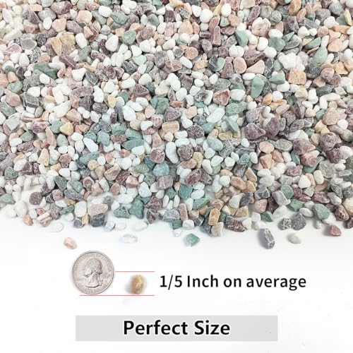 YISZM 5LB Succulent and Cactus Gravel Pebbles, 1/5 Inch Natural Decorative Polished Stones, River Rocks for Vases Gardening Indoor and Outdoor Decorative Rocks, Colorful - color: Colorful, size: 5 Pounds