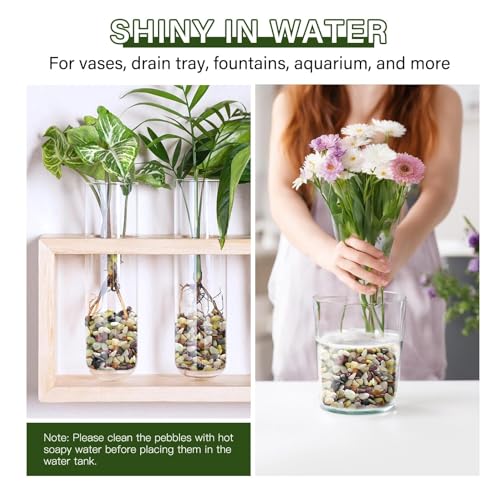 NUPICK 12 lbs Pebbles for Indoor Plants, 3/8 Inch Pea Gravel for Fish Tank, Polished Decorative Rocks for Succulent, Natural River Stones for Vases, Cactus, Landscaping, Bird Bath, Aquarium, Colorful - color: Colorful, size: 12 lb