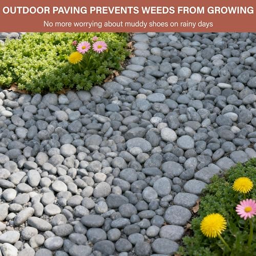 NUPICK 12lb Mexican Beach Pebbles, 2-3" Black River Rocks for Landscaping, Smooth Garden Rocks for Outdoor Paving, Natural Black Pebbles for Plants, Decorative Stones for Planters, Fish Tank,Fountain - color: Gray, size: 2-3", 12lb
