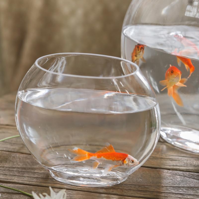 Multi-Function Glass Fish .84 Inch Transparent Aquarium Bowl with Fish Accessories for Home Desktop Office Decor - size: 28X23cm