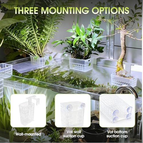 2 PCS Upgraded Aquarium Plant Holder, Adjustable Thickness Height Fish Tank Plant Holder with 2 Extension Hooks and 2 Suction Cups for Fish Tank Aquaponic (Transparent) - color: Transparent