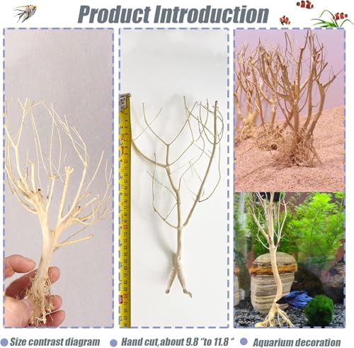 Natural Aquarium Tree Driftwood Aquarium Decor Fish Tank Decoration for Fish Shrimp (1)