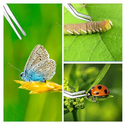 2PCS Precision Tweezers, Stainless Steel Bent and Straight Flat Tip Tweezers with Curved Serrated for Electronics, Laboratory Work, Aquatic Pets, Corals Plants, Model Building, Jewelry Craft