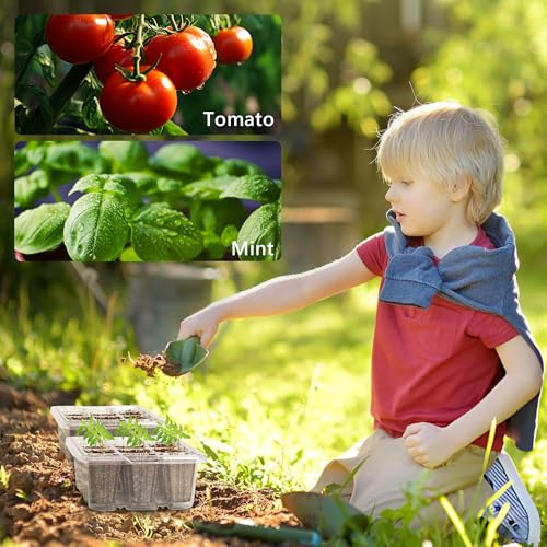 Bonviee 10 Packs Seed Starter Tray with Elevated Lid, 120 Cells Thicken Seed Starting Trays Kit with Adjustable Humidity Vent, Clear Cell Tray and Heightened Lids for Greenhouse & Gardens, Clear - color: Clear, size: 10 Packs, NO light