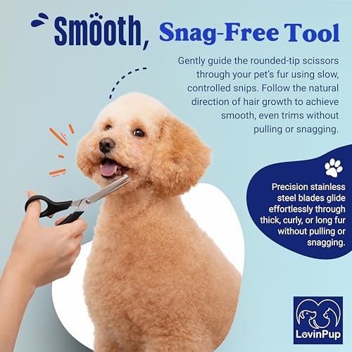 Dog Grooming Scissors Set – Rounded Tip Pet Grooming Shears for Safe Facial and Body Trims – Sharp, Stainless Steel Blades for Smooth Cutting – 2-Pack Pet Grooming Scissors for Dogs and Cats
