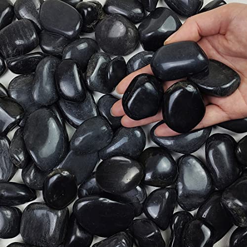 FANTIAN 2 lbs Black Pebbles for Indoor Plants, 1-2 Inch Small Bag Black Stones. Decorative River Rocks for Plants, Landscaping, Vase Fillers and Outdoor Garden - size: 1-2 inch, style: 2.0 Pounds
