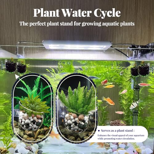 5 Pieces Clear Aquarium Plant Holder with Suction Cup, Acrylic Aquatic Fish Tank Plant Holder Pot, Transparent Hanging Aquarium Planter Cup Fish Shrimp Feeder for Aquascape Decoration
