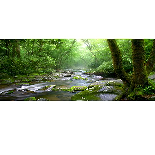 72x18 inches Rainforest Terrarium Background - Deep Forest Tank Aquarium Background with Sunny Stream Stones, Trees, Grass, Tropical Plants - Durable Polyester - size: 72x18in-P