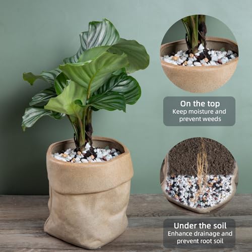 5lb Pea Silica Gravel Decorative Rocks, No Wax Pebbles Ideal for Fish Tank, Vases, Succulents, Home Decor and Garden Landscaping, Countryside Silica Gravel - color: Countryside No Wax, size: 5LB