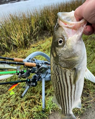 Rod-Runner Fishing Rod Carrier | Pro 5 Portable Rod Rack - color: Gray
