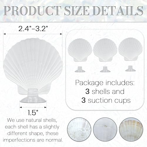 3PCS Betta Hammock Shells, Natural Small Fish Tank Decorations, Betta Fish Tank Accessories, Aquarium Decorations, Aquarium Hideout Habitat for Sleeping Resting Hiding Playing (White) - color: White