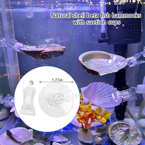 VCEPJH Betta Resting Spot 4 Pcs Betta Hammock with Suction Cups Shell Bed Toys for Aquarium Small Fish Natural Spawning Grounds Breeding Fish Tank Accessories Decorations - color: Colorful