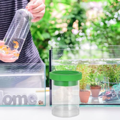 BESPORTBLE Floating Fish Breeding Isolation Box with Mesh Divider, Small Aquarium Guppy Breeding Hatchery Incubator Tank for Fish Egg Hatching and Nursery, Green Plastic Pet Aquarium