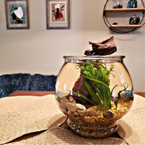 2 Pcs Natural Large Driftwood for Aquarium, Aquarium Driftwood Freshwater 12-16 Inch, Assorted Size Mopani Wood, Twisted Branches for Fishtank Accessories, Reptile Terrariums Decorations - color: 2 Pack Mopani Driftwood 12-16in
