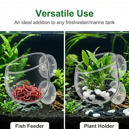 Hiceeden 6 Pcs Aquatic Plant Holder, Glass Aquarium Plant Pot with Suction Cup, Red Worm Cups Fish Feeder for Fish Tank Aquascape Decoration