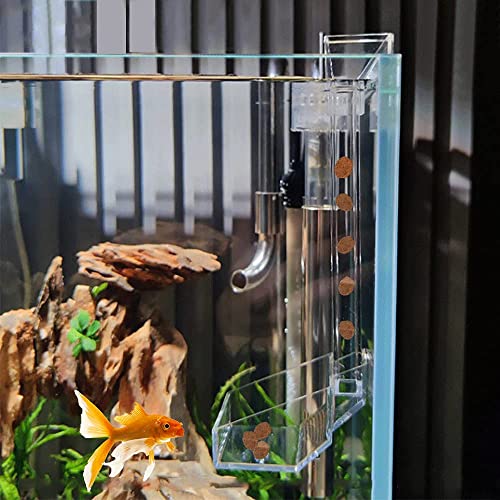 Shrimp Fish Feeding Dish, Aquarium -Sky Restaurant- Betta Feeding - Prevent Food Spilling, Fish Feeder, Also Easy to Clean Up The Food Left Over, African Feeding, Dwarf Frogs Feeding (L)