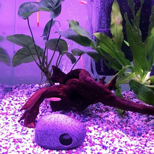 Kathson 4 PCS Aquarium Driftwood Decoration - Natural Branches for Fish Tank, Reptile Terrarium Habitat - Assorted Sizes Wood Accessories - size: 4pcs: 4.2-8.5inch