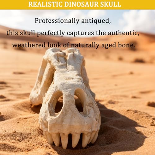 Dinosaur Skull Reptile Basking Platform, Resin Fish Tank & Terrarium Decor for Bearded Dragons, Lizards, Geckos - Aquarium Decor, Tarantula Hide Cave