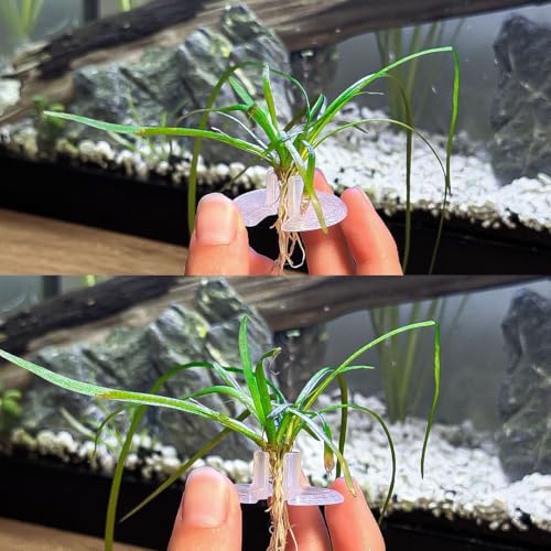 3ct Substrate Buddies – Aquarium Plant Plugs for Freshwater Aquascaping, Securely Hold Aquatic Plants in Substrate, Assist Rooting & Growth, Easy Aquascape Propagation Tools