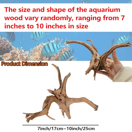 Hamiledyi 7-10in Natural Aquarium Driftwood 2PCS Large Reptile Spider Wood Ornament Assorted Branches Natural Driftwood Log Fish Tank Decoration - size: Large:spiderwood 7-10in 2PCS