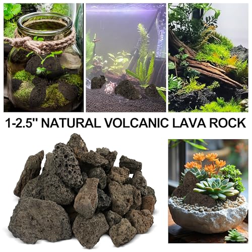 1-2.5" Natural Volcanic Lava Rock for Aquarium, Plants, Fire Pit, Succulent & Garden Decor, 1lb