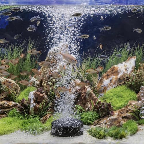 Wenshall 1.6 Inch Air Stone, Aquarium Air Stone, Air Stone for Fish Tank and Hydroponics Air Pump