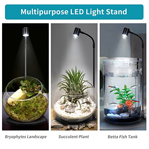LED Aquarium Light, 3W USB Powered Fish Tank Plant Lamp with Black Base Board for 360 Betta Fish Bowl, Potted Plants, Succulents, Miniature Landscape