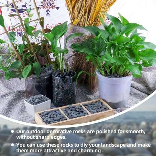 45lb River Rocks Pebbles for Plants & Succulents, Decorative Outdoor Landscaping Garden Rocks, Natural Small Mexican Beach Pebbles Aquarium Rocks Gravel for Fish Tanks Vase Yard Decor - size: 45LB, style: Small