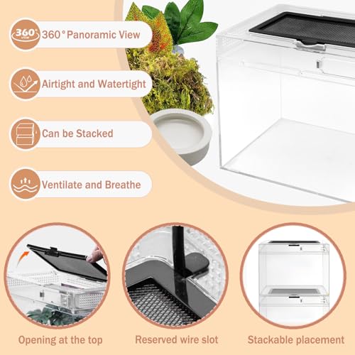 Reptile Terrarium, Jumping Spider Enclosure Starter Kit, Leopard Gecko Habitat Container, 8"x8"x7"Reptile Tank for Tarantula, Hermit Crab, Insect, Fish, Frog, Small Bearded Dragon, Lizard - size: 8"x8"x7"