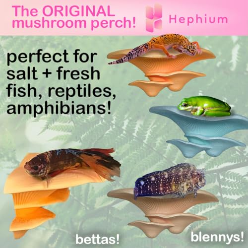 Mushroom Betta Perch Hammock | Suction Cup Aquarium Decor & Enrichment for Bettas | Resting Spot & Fish Tank Decoration (Light Blue) - color: Light Blue
