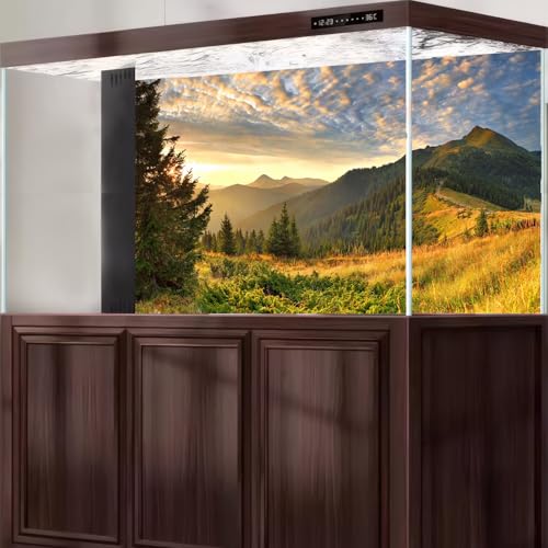 Sunset Mountain Landscape Aquarium Background Panoramic Mountain Valley Fish Tank Background Majestic Cloudy Blue Sky Pine Forest Terrarium Backgrounds Foggy Woodland Reptile Tank Backgrounds 24x16in - color: Brown_Green, size: 24(W)x16(H)in