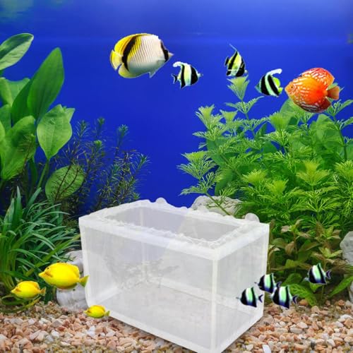 Aquarium Breeding Box - Mesh Box Fish Breeding Tanks, Aquarium Breeder Box, Fish Fry Hatchery, Juvenile Separation Net with Suction Cups, Nursery for Guppy Shrimp - color: large