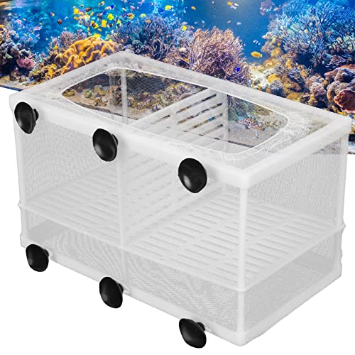 Fish Breeding Aquarium Box, Multifunctional Fish Breeder Box for Small Fish, Large with Partition - size: Large with partition