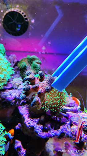 Aquarium Choice Coral Feeder Syringe - 11.8 Inch Reef Tweezers, Never Rusts, Fish Excreta Cleaner