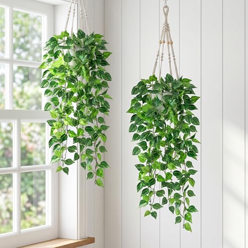 DREAMLOOM 2 Packs Fake Hanging Plants with Pots, Artificial Pothos Hanging Plants with Macrame Hanger for Indoor Decor, Fake Hanging Vines Faux Greenery for Home Kitchen Office - color: Pothos