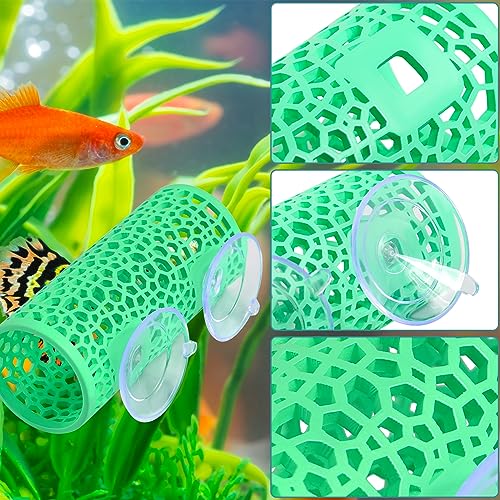 Abizoo Betta Fish Tunnel Hideout for Aquarium Decoration Hollow Coral Design Smooth Finish, Fish Tank Accessories Habitat Cave for Betta Shrimp Guppies Neon Tetras Zebra Danios Small Fishes,Mint Green - color: Mint Green