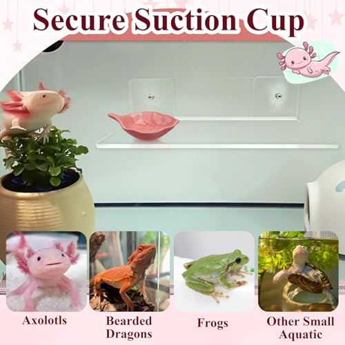 Axolotl Hammock Ledge for Aquarium with Feeding Dish Ceramic Tray Suction Cup and Feeding Tweezer Axolotl & Bearded Dragon Aquarium Accessories Kit (7.8 x 3.9in)