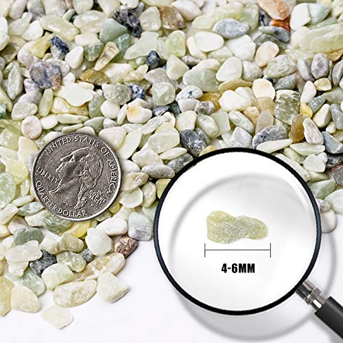 Succulent and Cactus Bonsai DIY Rocks, Jade Bean Pebbles, Natural Decorative Polished Stones Vase Fillers Gravel for Plants，Terrarium, Fairy Gardening, Indoor Outdoor Decor Ornamental Stones. - size: 10LB