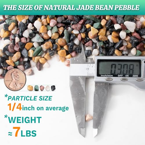 AVALUTION Aquarium Gravel for Plants -7lb Fish Tank Gravel for Succulent Cactus & Bonsai, 1/4Inch Decorative River Rocks Pebbles for Gardening, Flower Pots, Landscaping, Terrarium - color: Mix Gravel, size: 7LB