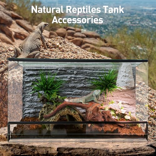 WDEFUN Natural Driftwood for Aquarium Decor, 2-Piece 10''-14'' Large Driftwood for Decorations on Fish Tank, Reptiles Bearded Dragon Accessories or Air Plants - size: Mopani driftwood （10-14 inch pack of 2）