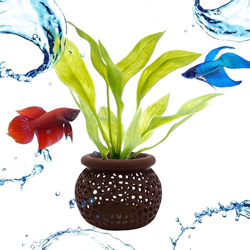 Aquarium Plant Pot Holders, Aquatic Plant Holder, Securely Hold Aquatic Plants, Promoting Healthy Root Growth, Fish Tank Aesthetic (Set of 2 (Dark Brown)) - color: Set of 2 (Dark Brown)