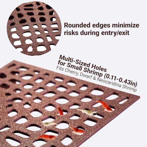 Shrimp Tank Accessories – 2Pcs Fish Tank Decoration, 180° Viewing & Stable Hides for Shrimp Refuge & Spawning - color: Brown
