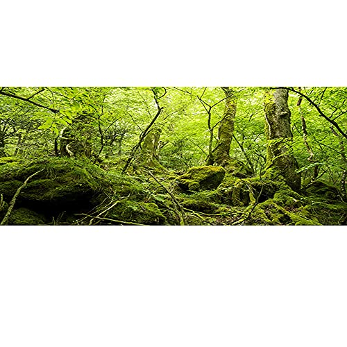 48x18 inches Durable Polyester Deep Rainforest Terrarium Background Tropical Aquarium Background Green Huge Trees Peaceful Forest Moss Plants Reptile Habitat Photography Backdrop - size: 48x18in-P